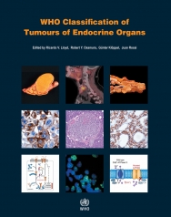 front-Cover-ENDO4-2017-26-05.jpg